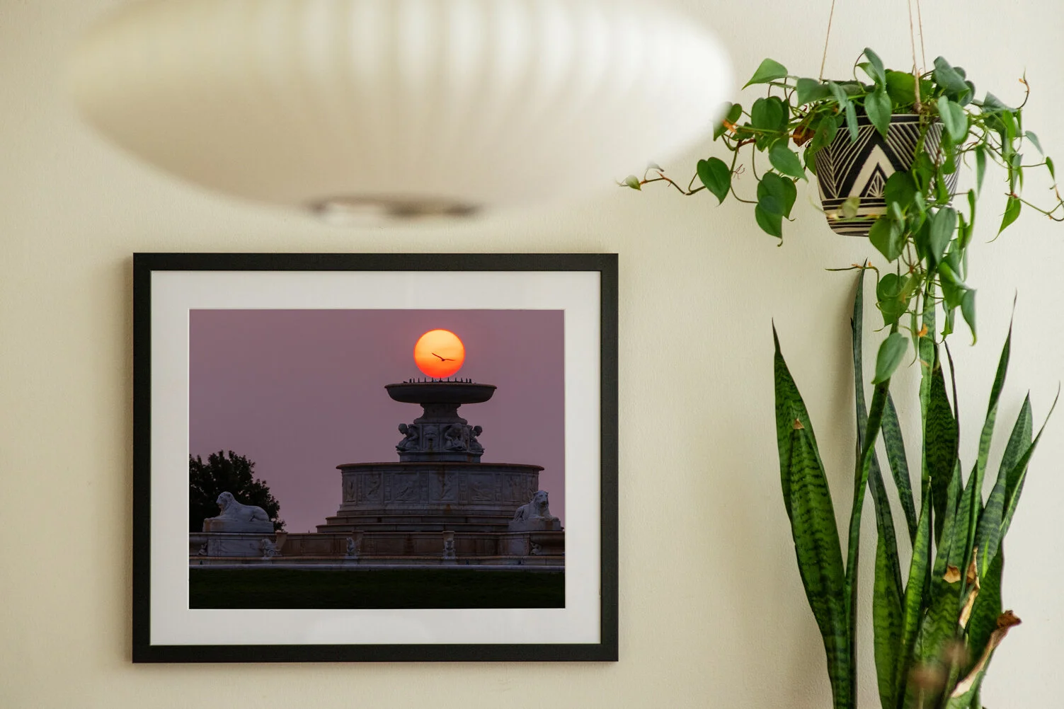 RS2_8296 copy_frame.jpg