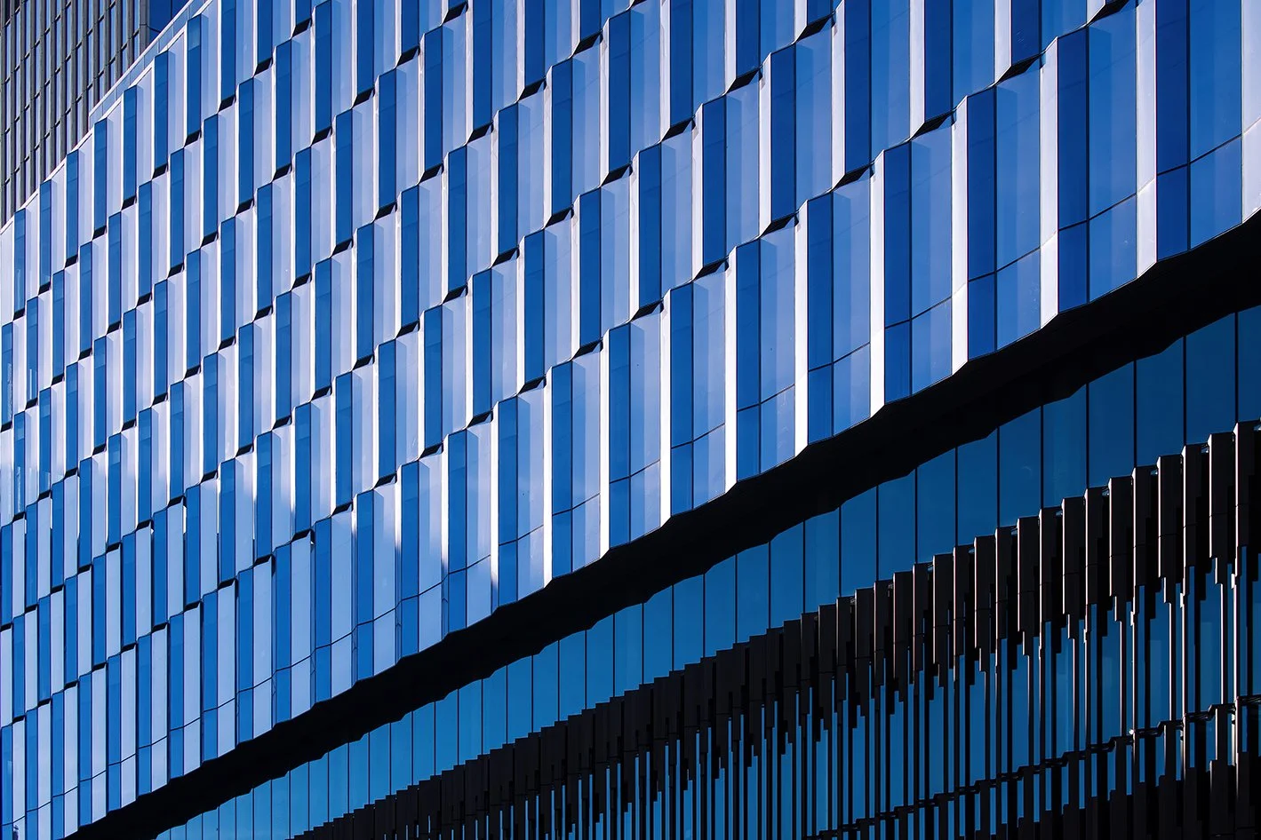  Hudson’s Detroit construction milestone in downtown Detroit for Bedrock. 