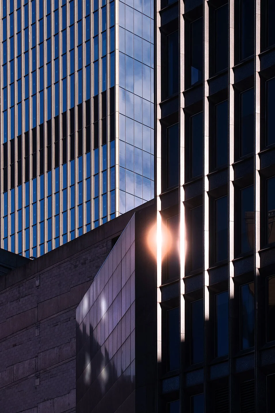  Hudson’s Detroit building progress in downtown Detroit by SHoP Architects. 