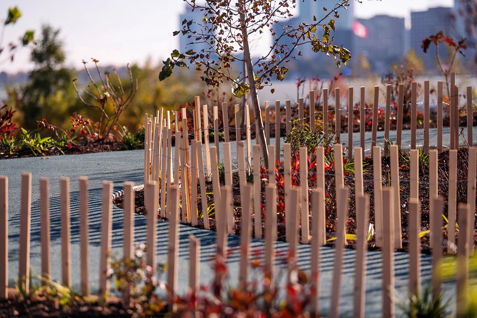 People walking and gathering at Ralph C. Wilson Jr. Park in Detroit, illustrating public space created by the Detroit Riverfront Conservancy and MVVA.