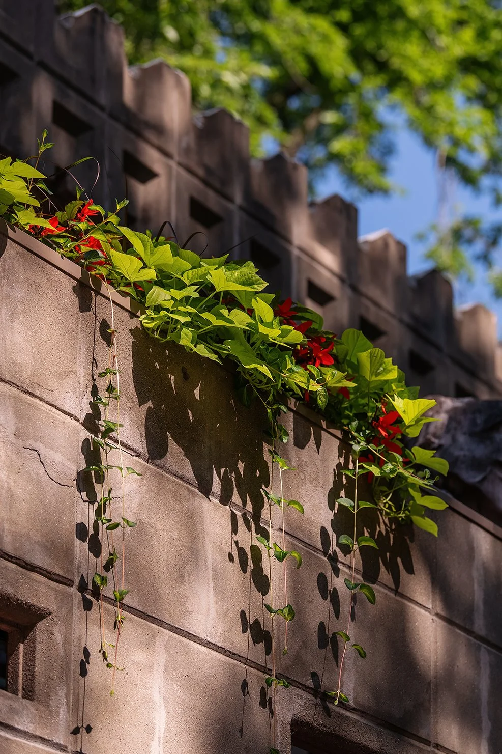 Exterior architectural image of the Dorothy G. Turkel House by Frank Lloyd Wright in Detroit, Michigan.