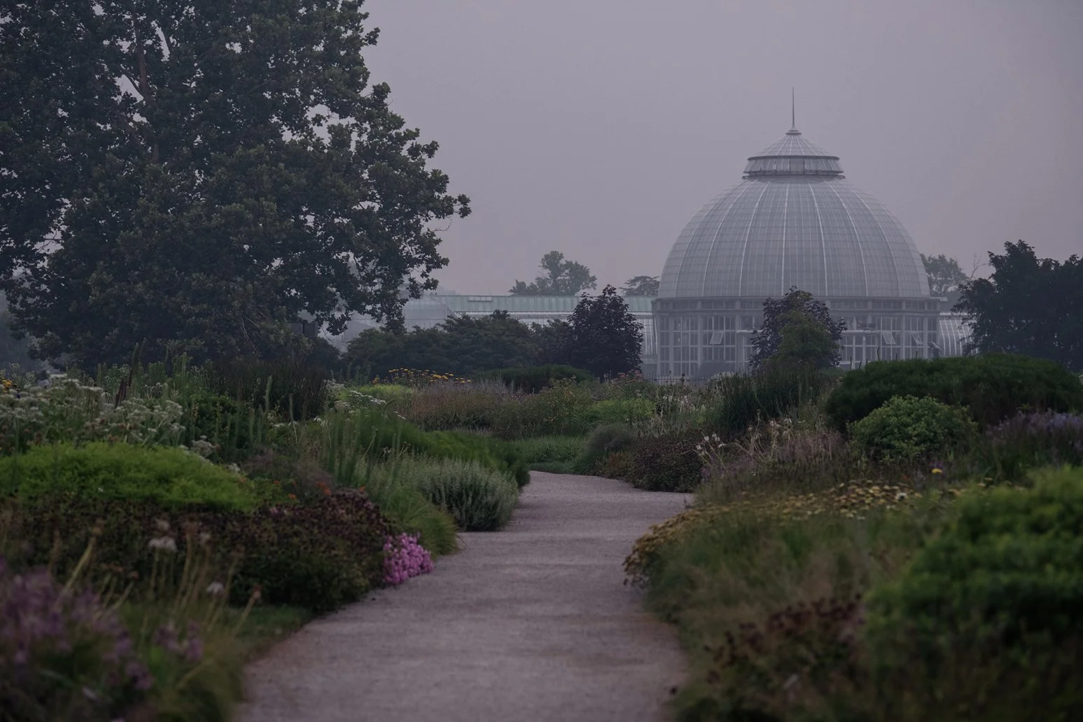 Belle Isle landscape in Detroit, Michigan, photographed during a period of wildfire smoke and reduced visibility.
