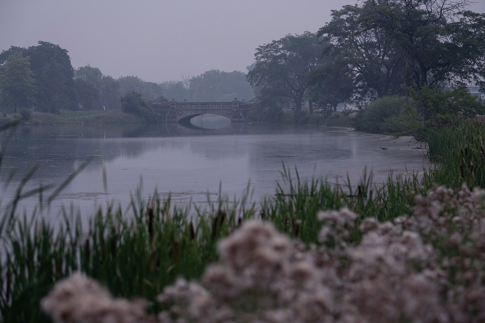 Landscape view of Belle Isle in Detroit, Michigan, with wildfire smoke softening the Detroit skyline.
