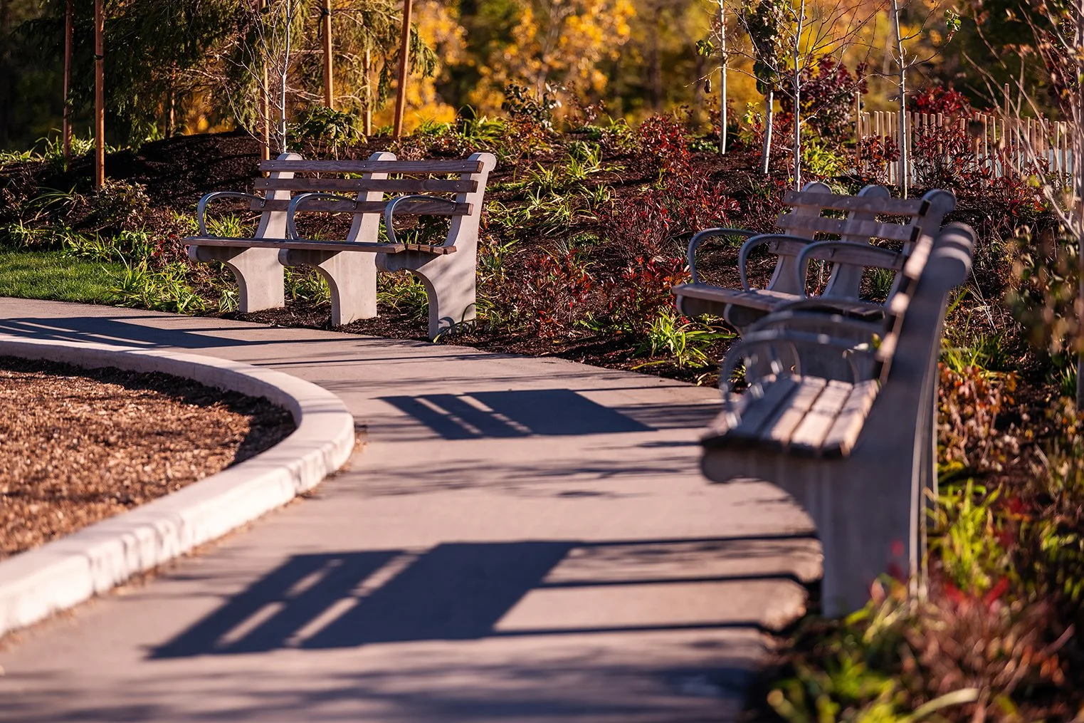 Contextual view of Ralph C. Wilson Jr. Park along the Detroit riverfront, shaped by the Detroit Riverfront Conservancy and MVVA.