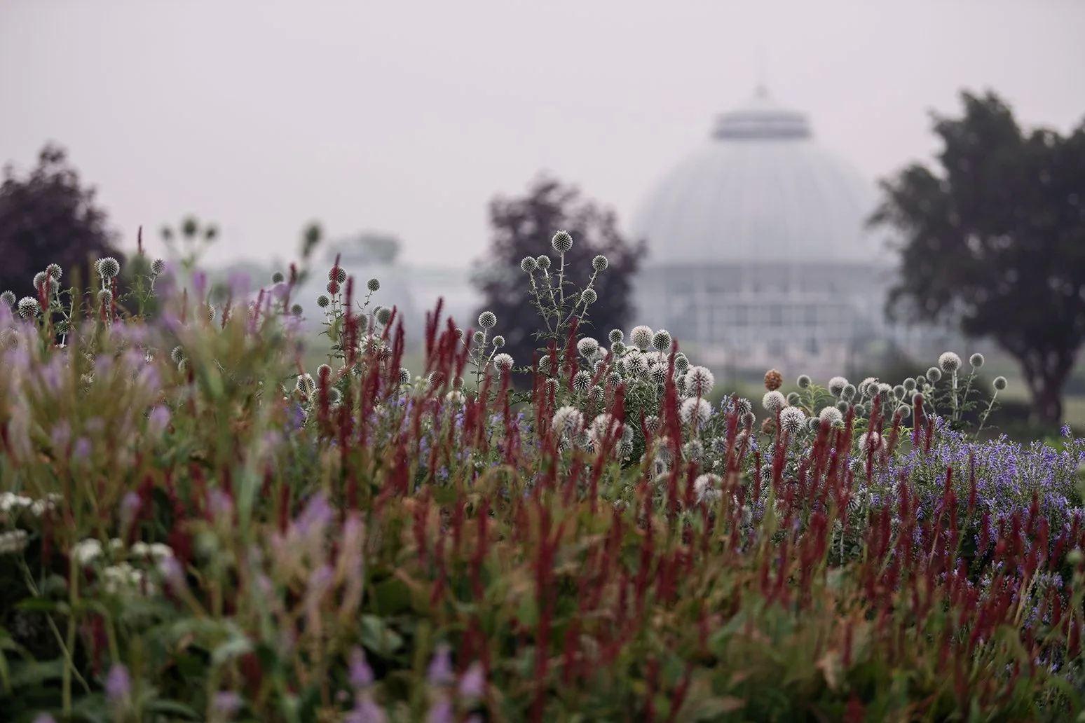 Scenic view of Belle Isle in Detroit, Michigan, photographed during summer wildfire smoke affecting southeastern Michigan.