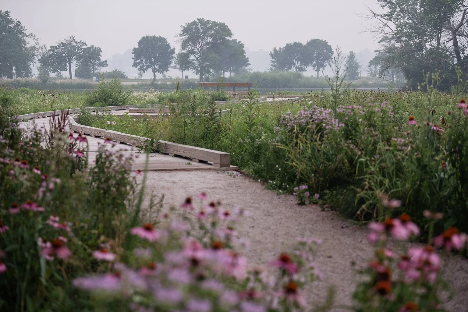 Belle Isle park in Detroit, Michigan, with the landscape viewed through lingering wildfire smoke during the summer.