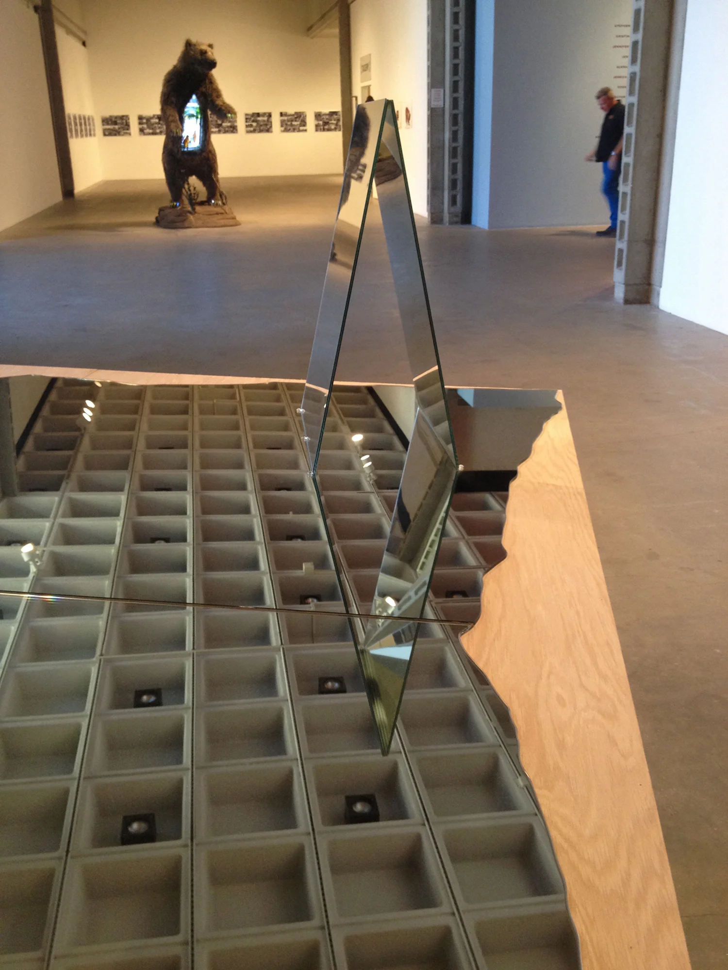 31. COLA 2014-close up.jpg