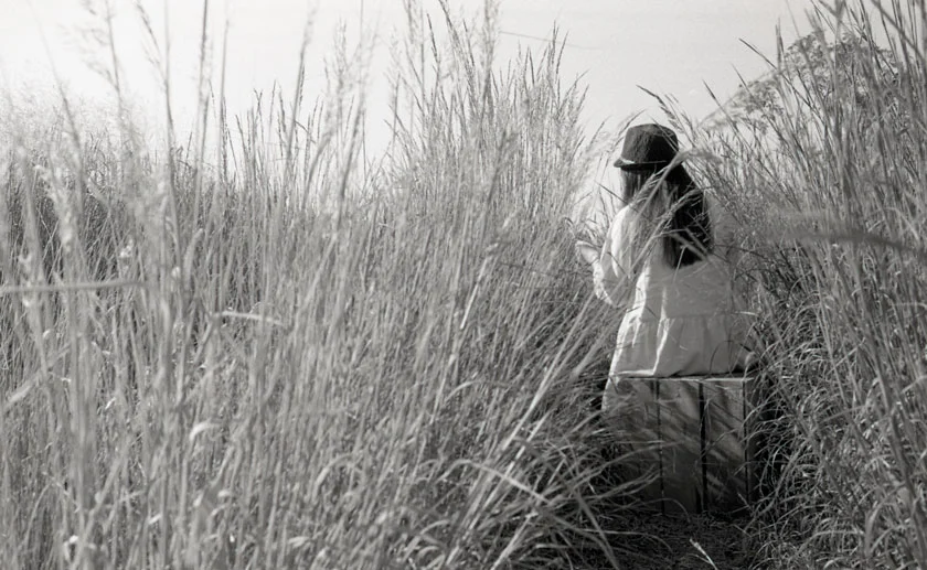 film62.jpg