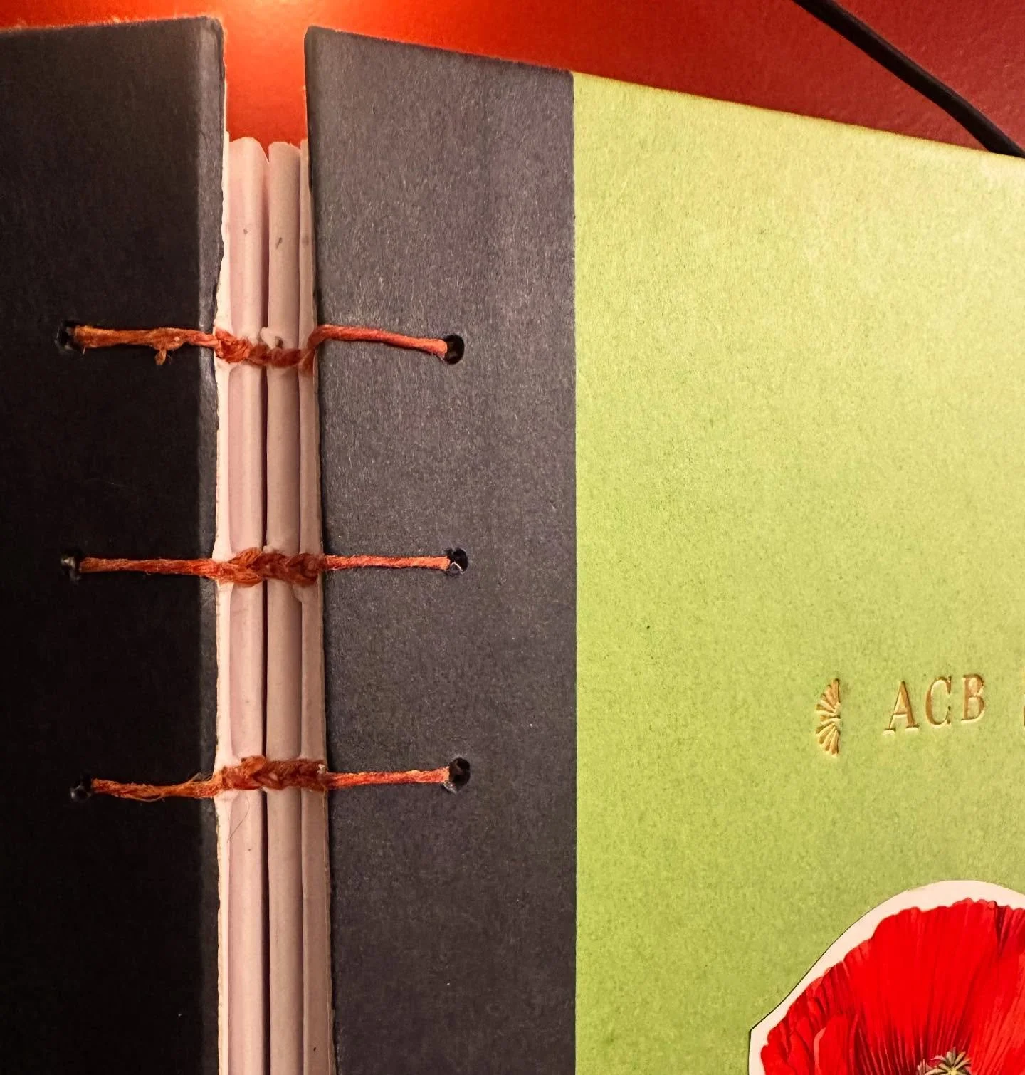 Back in the bookmaking swing of things

#bookmaking #bookbinding #copticbinding #coptic #upcycle