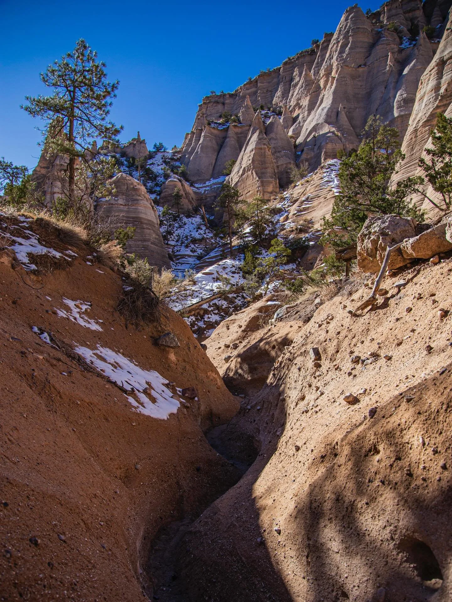 I had the opportunity to explore Tent Rock National Monument on Cochiti land yesterday. Still in awe at this incredible world we get to experience 

#hiking #southwest #photography #naturephotography