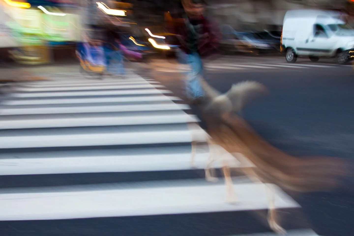Throwback to some street photography in 2012 in Buenos Aires, Argentina 

#streetphotography #photography