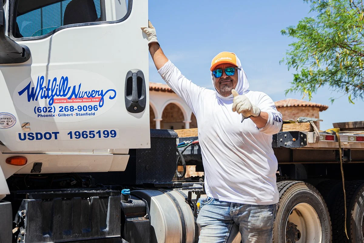 Gallery_Delivery-thumbs-up.jpg