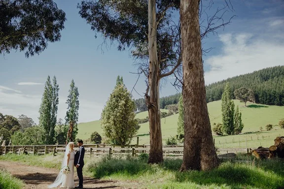 Fantastic trees can be a majestic backdrop
