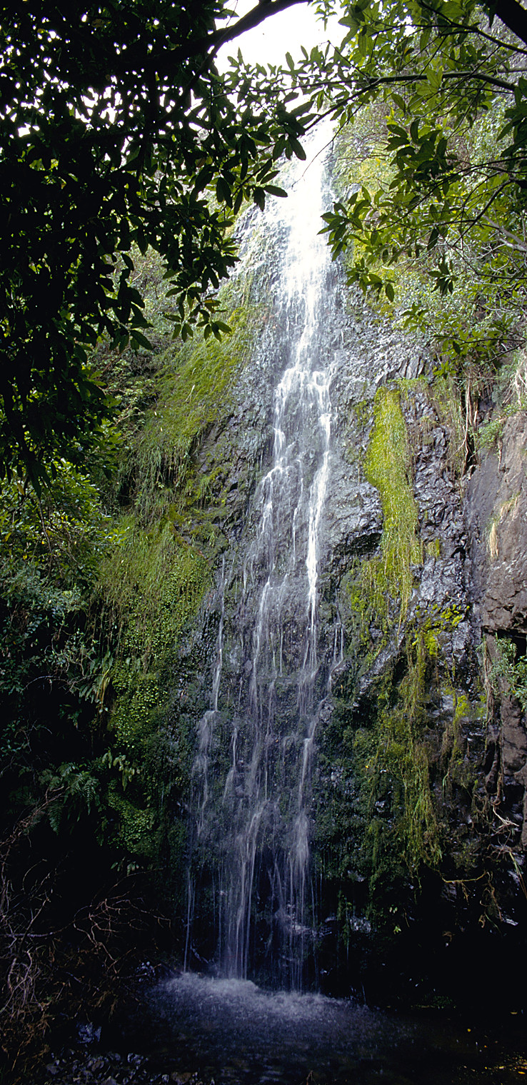 waterfall.jpg