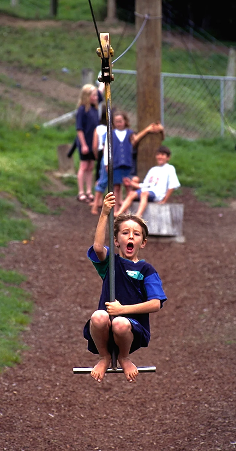The two flying foxes are popular.