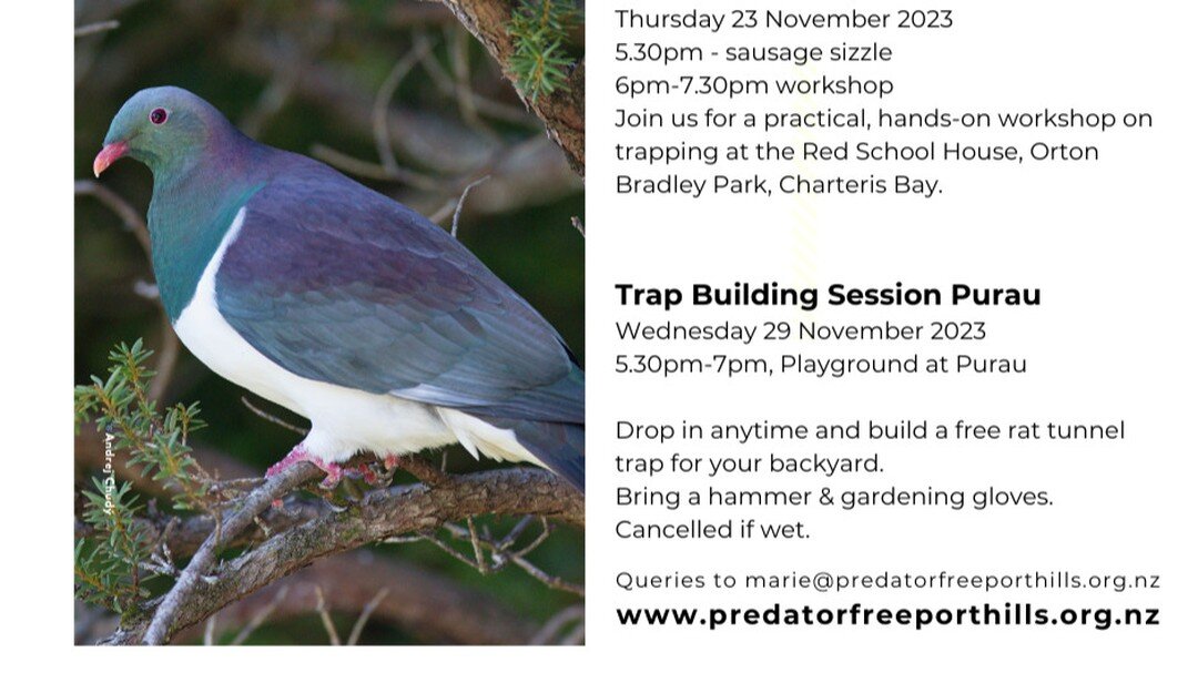 We are hosting a Trapping Workshop on Thursday 23 November. Starting at 5.30pm (with a sausage sizzle), the workshop goes to 7.30pm and is a practical, hands on look at trapping pest species. Based at the Old School House in Orton Bradley Park. See t