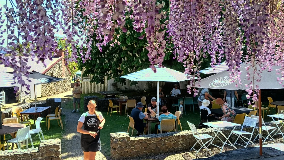 wisteria.jpg