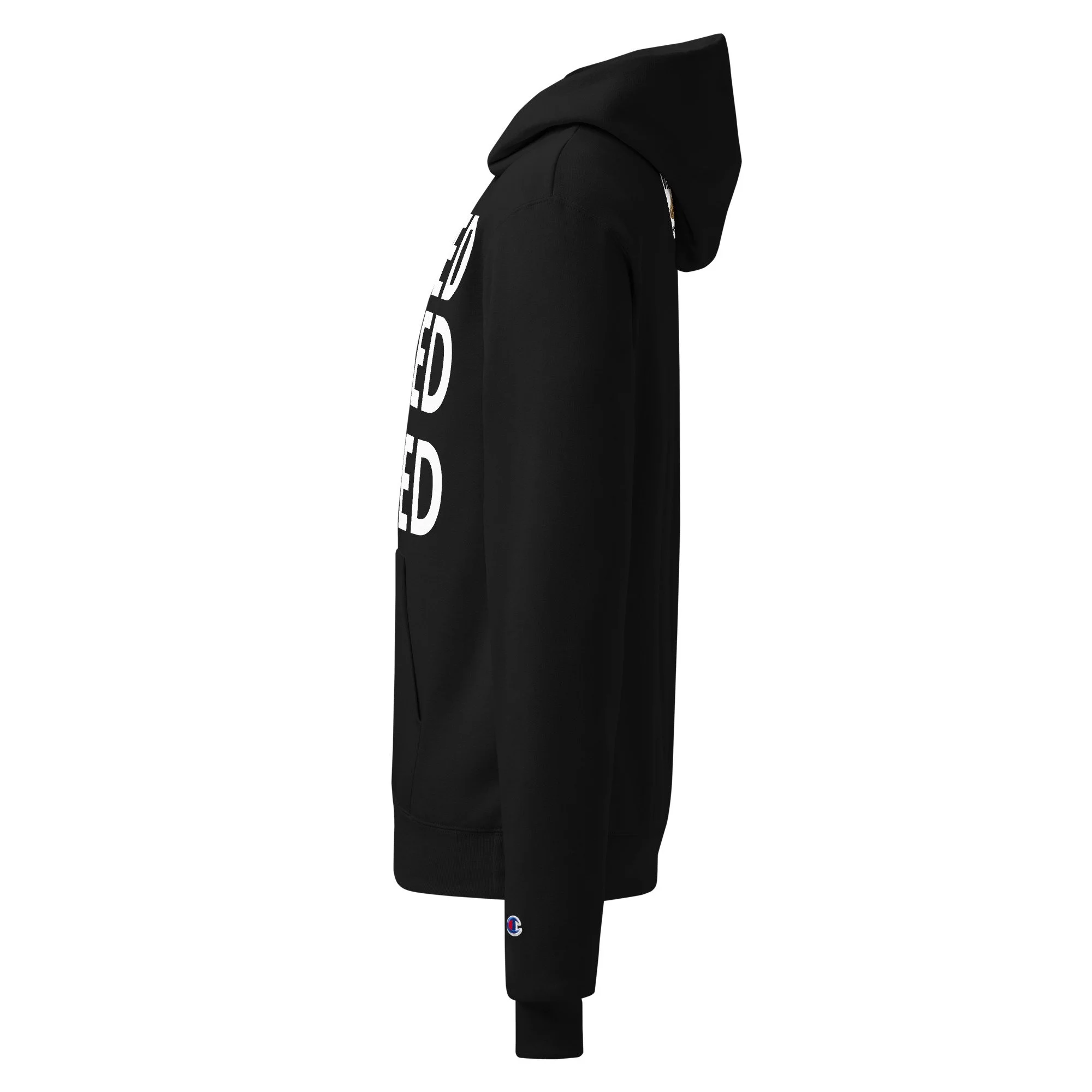 unisex-champion-hoodie-black-left-69a45757f2f38.jpg