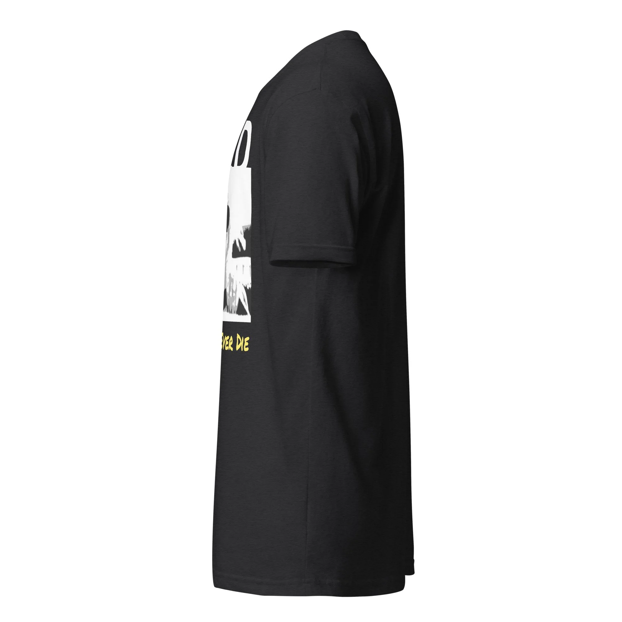unisex-cvc-t-shirt-black-left-6aa6a39ed2846.jpg
