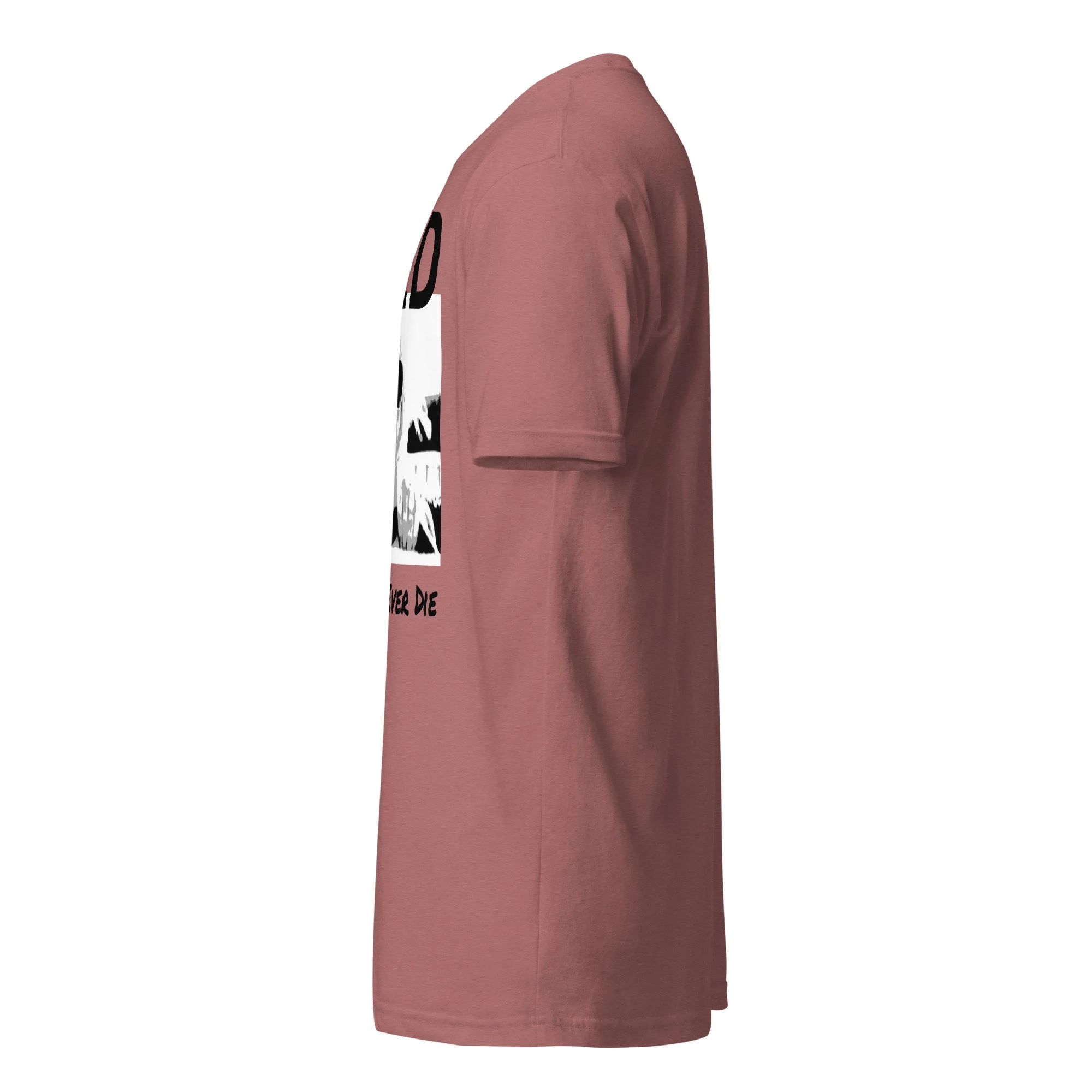 unisex-cvc-t-shirt-heather-mauve-left-6aa6a8bea49ef.jpg