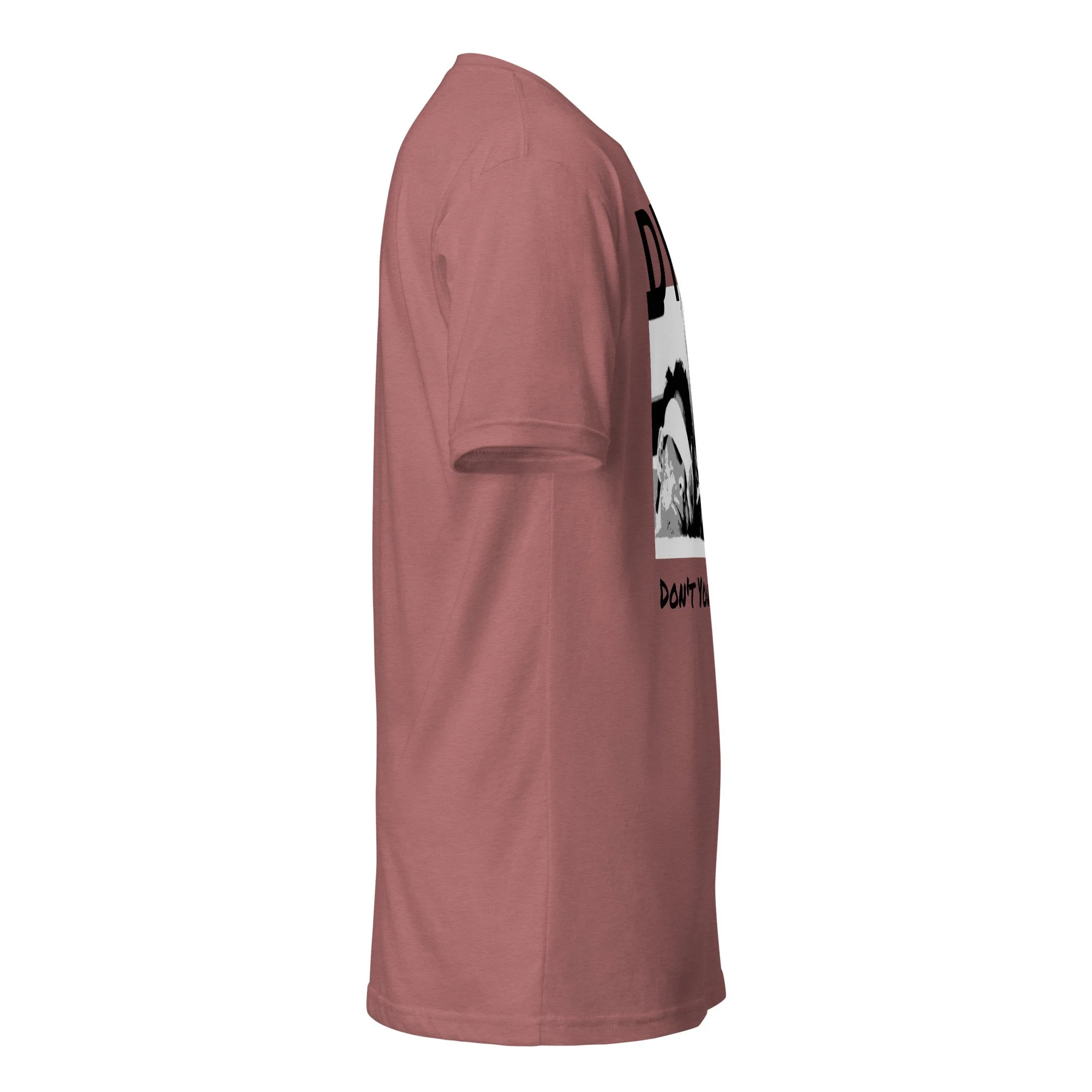 unisex-cvc-t-shirt-heather-mauve-right-6aa6a8bea4c9b.jpg