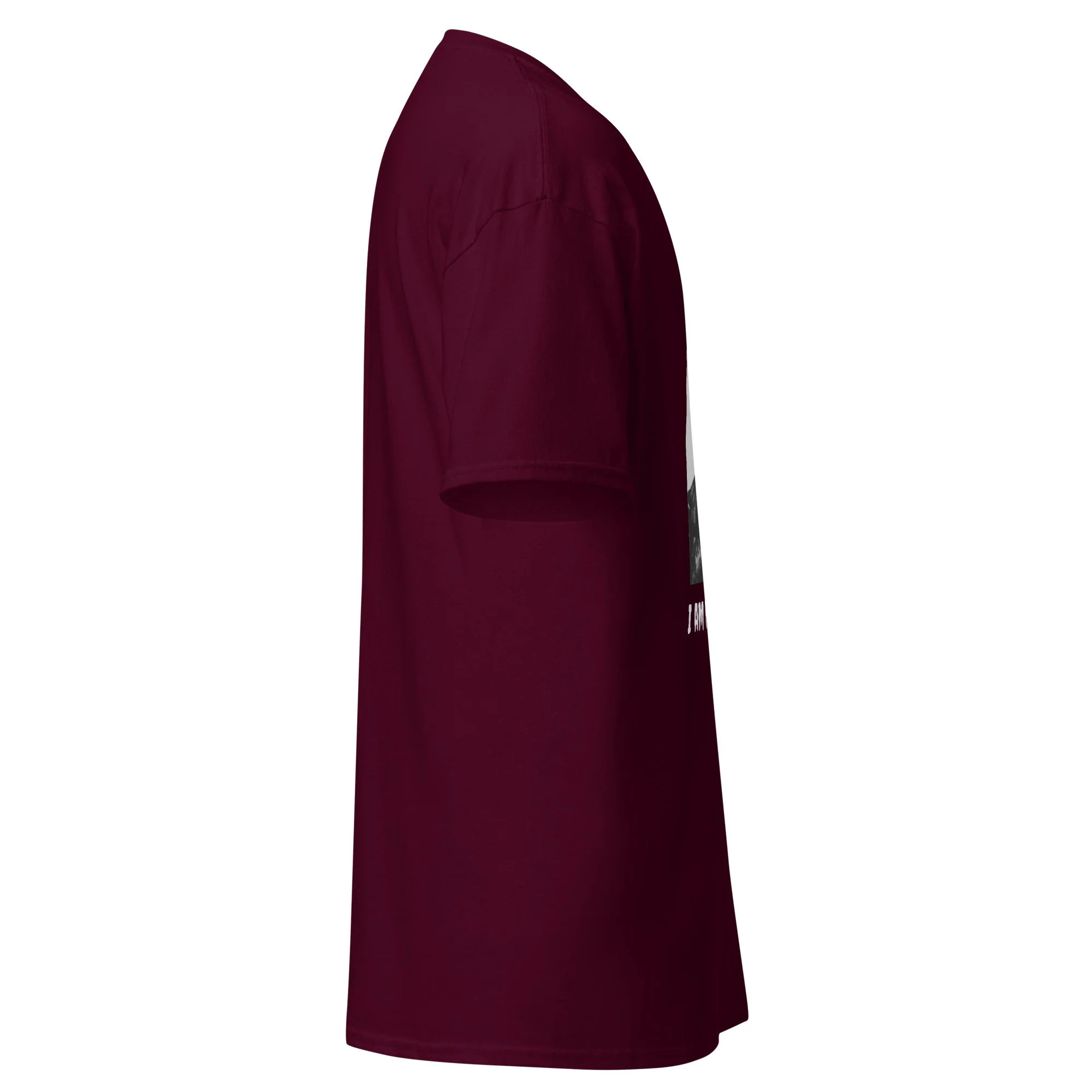 unisex-classic-tee-maroon-right-6ac151ce1ebbb.jpg