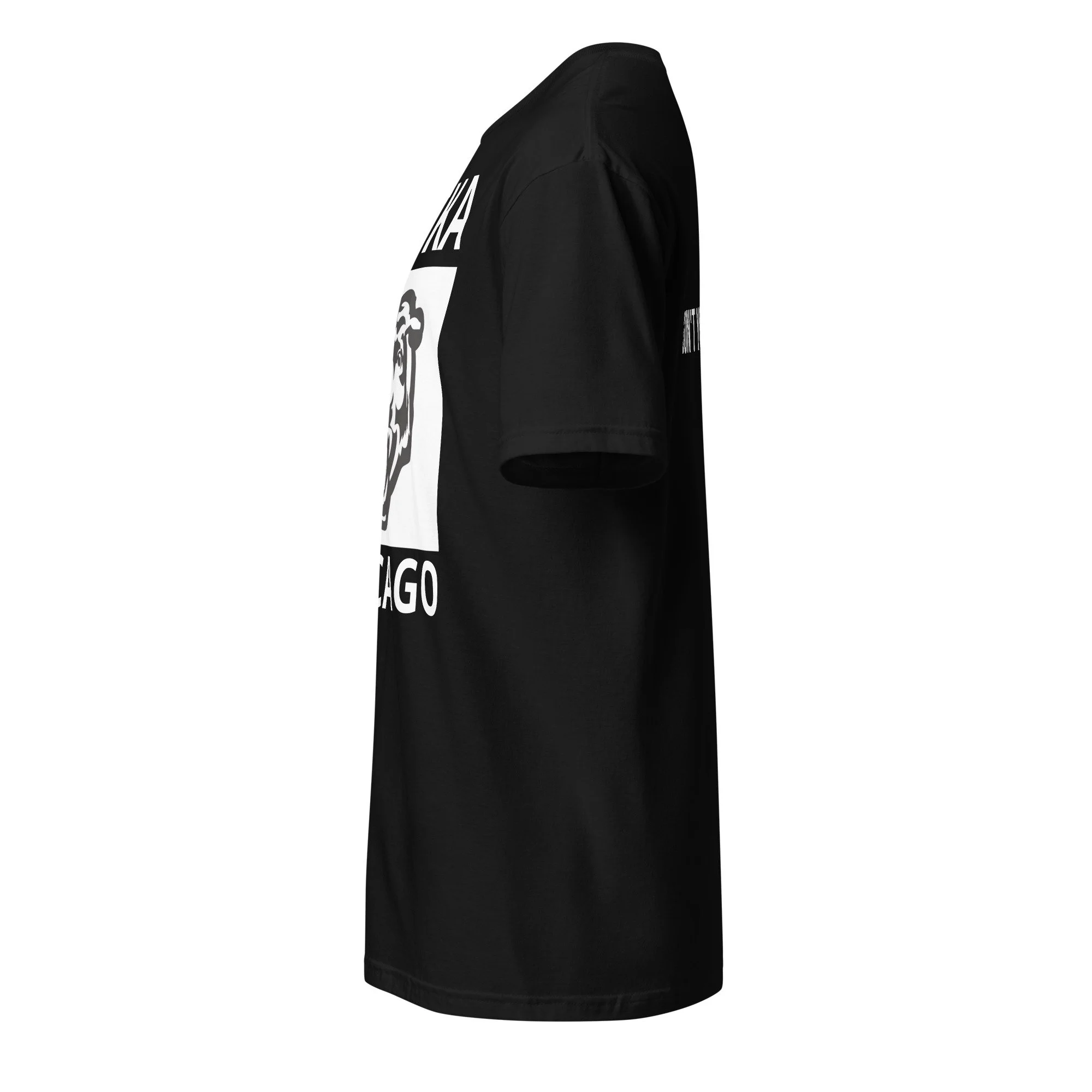 unisex-basic-softstyle-t-shirt-black-left-6acb140870efd.jpg