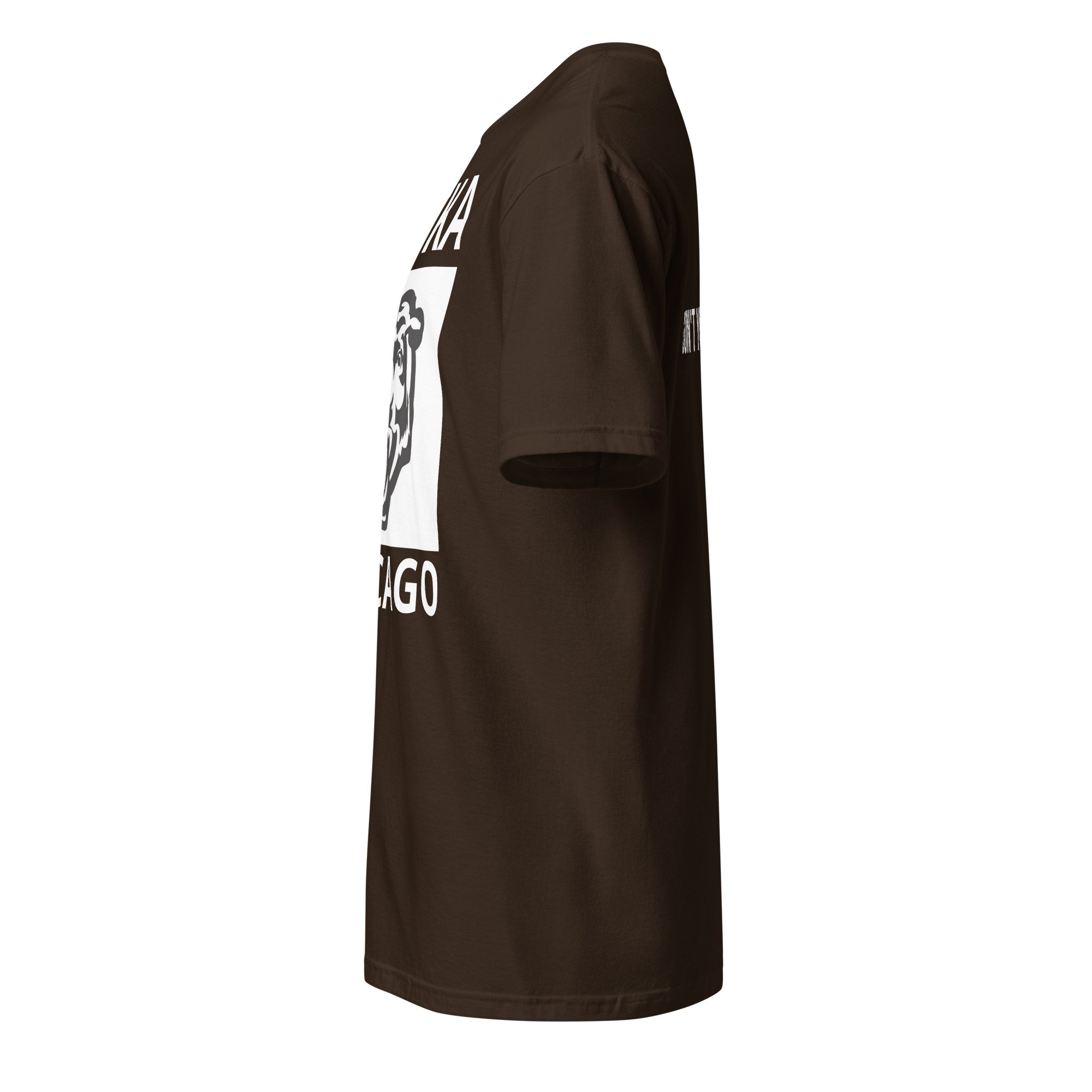 unisex-basic-softstyle-t-shirt-dark-chocolate-left-6acb140878def.jpg