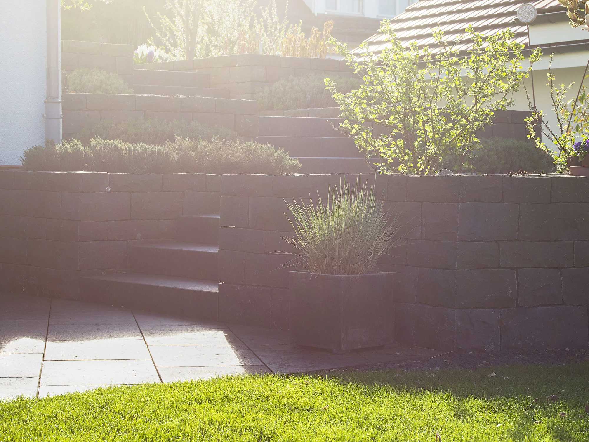 ruegg_gartendesign_felix_bruengger_B_02618.jpg