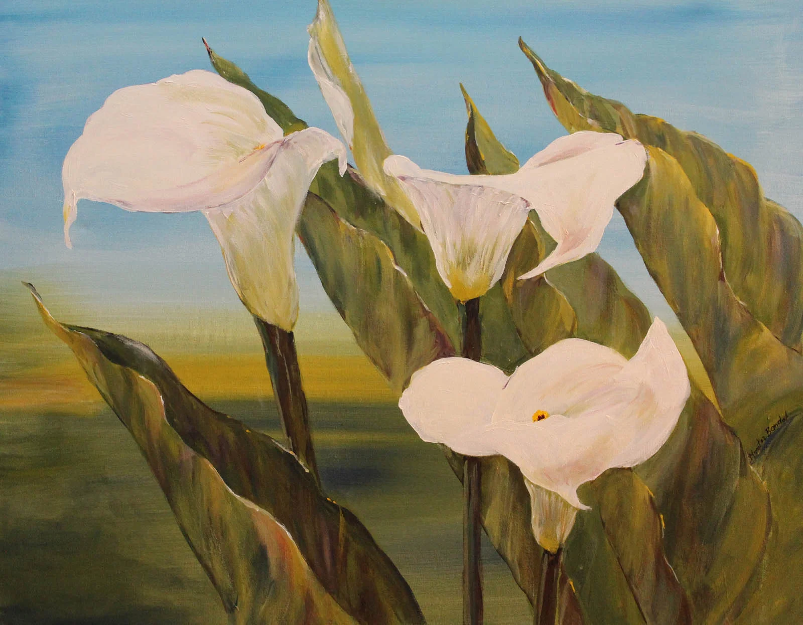 Calla Lilies