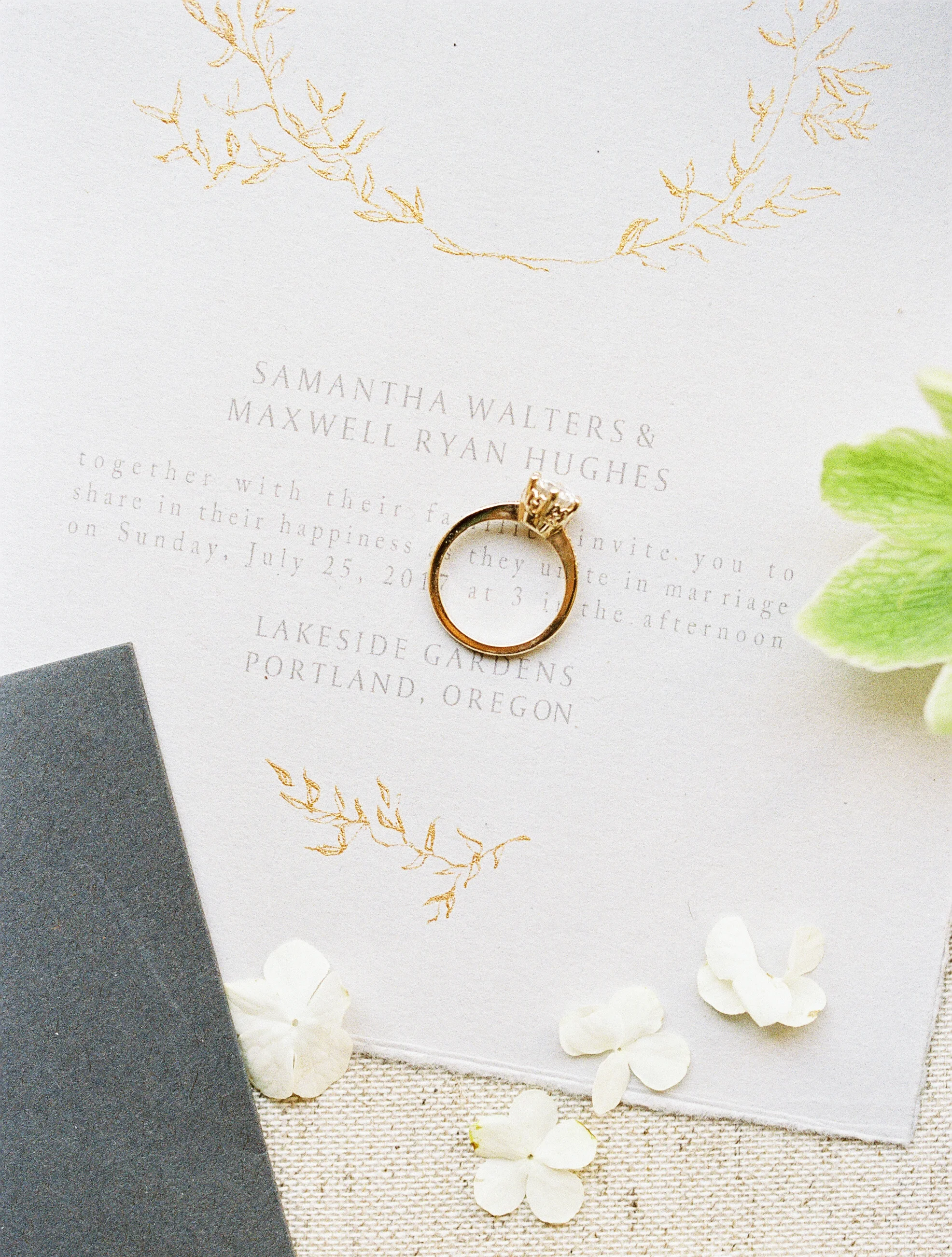 image by nathalie cheng.