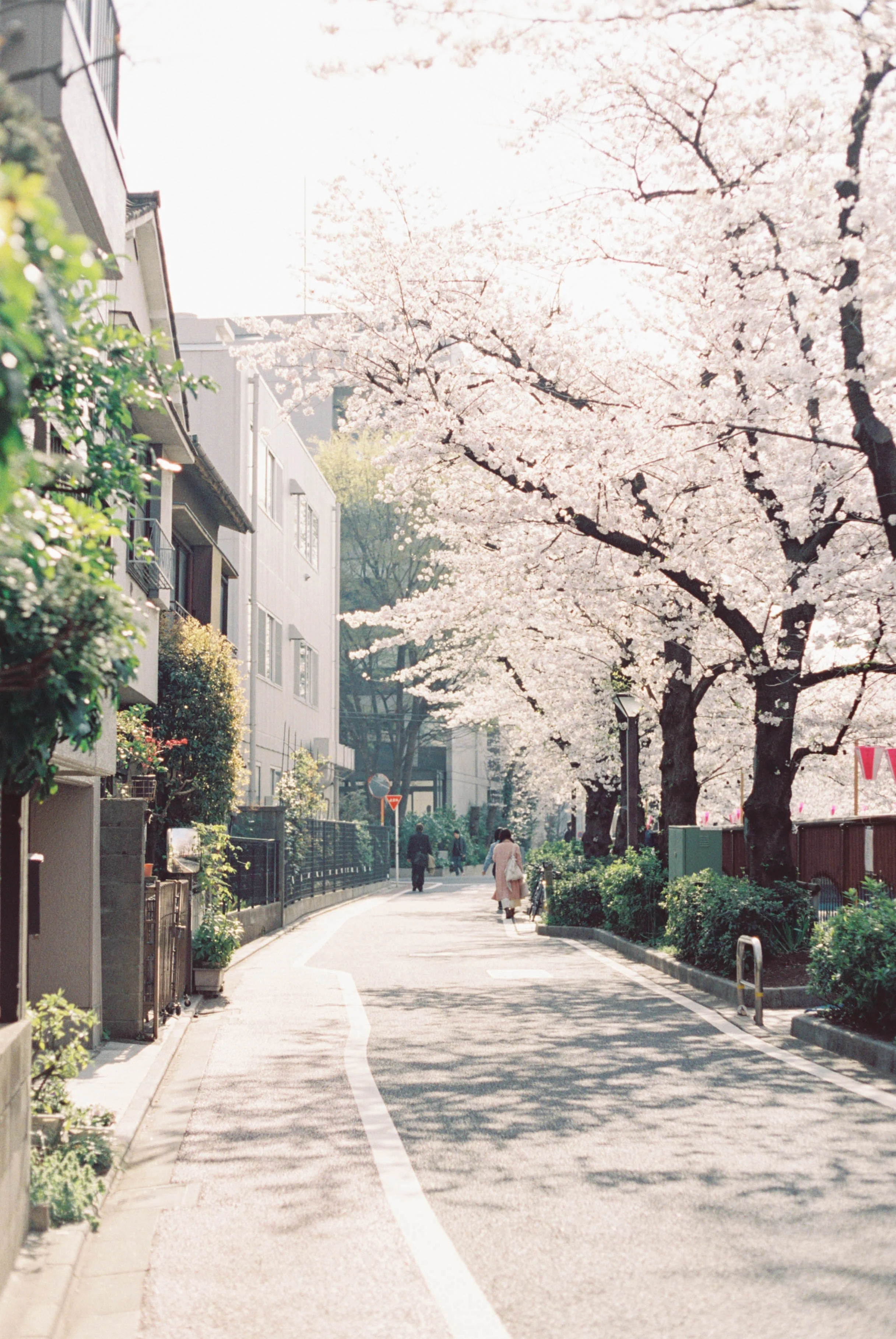 Nakameguro