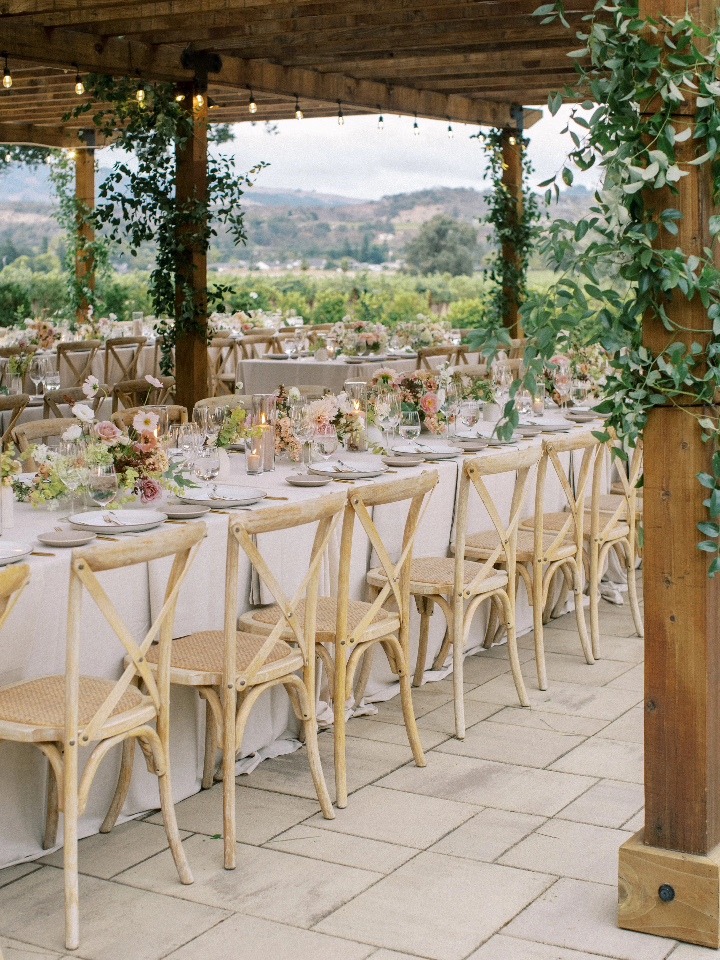 Tiff &amp; Jeff's Blush Chateau St. Jean Winery Wedding