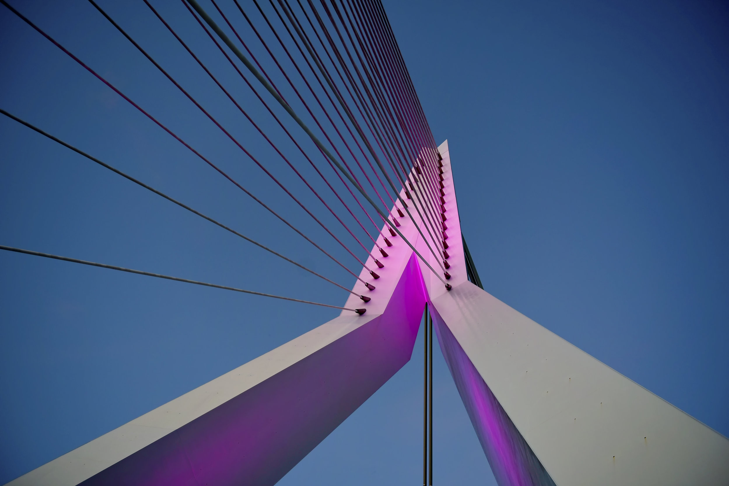 ROTTERDAM