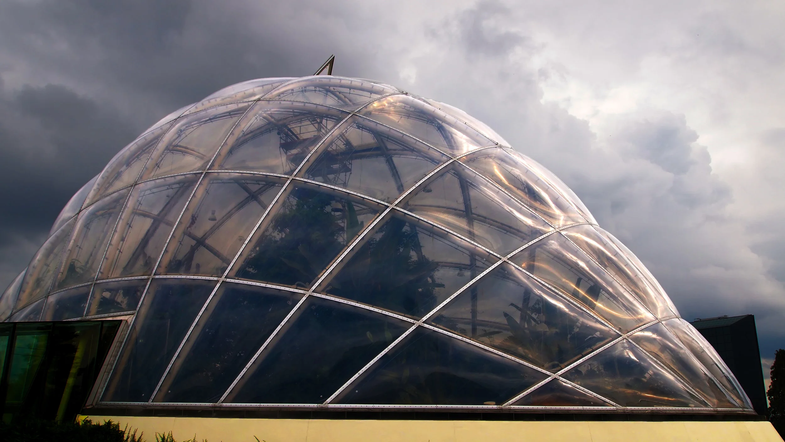 botanical garden.jpg