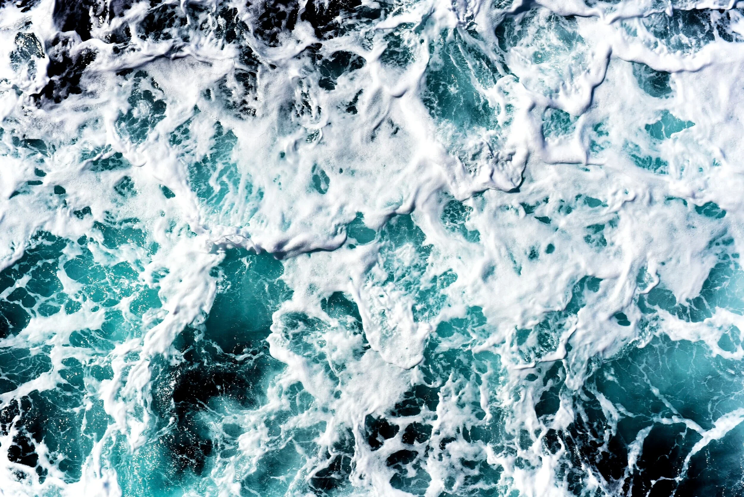 OCEANYO.jpg