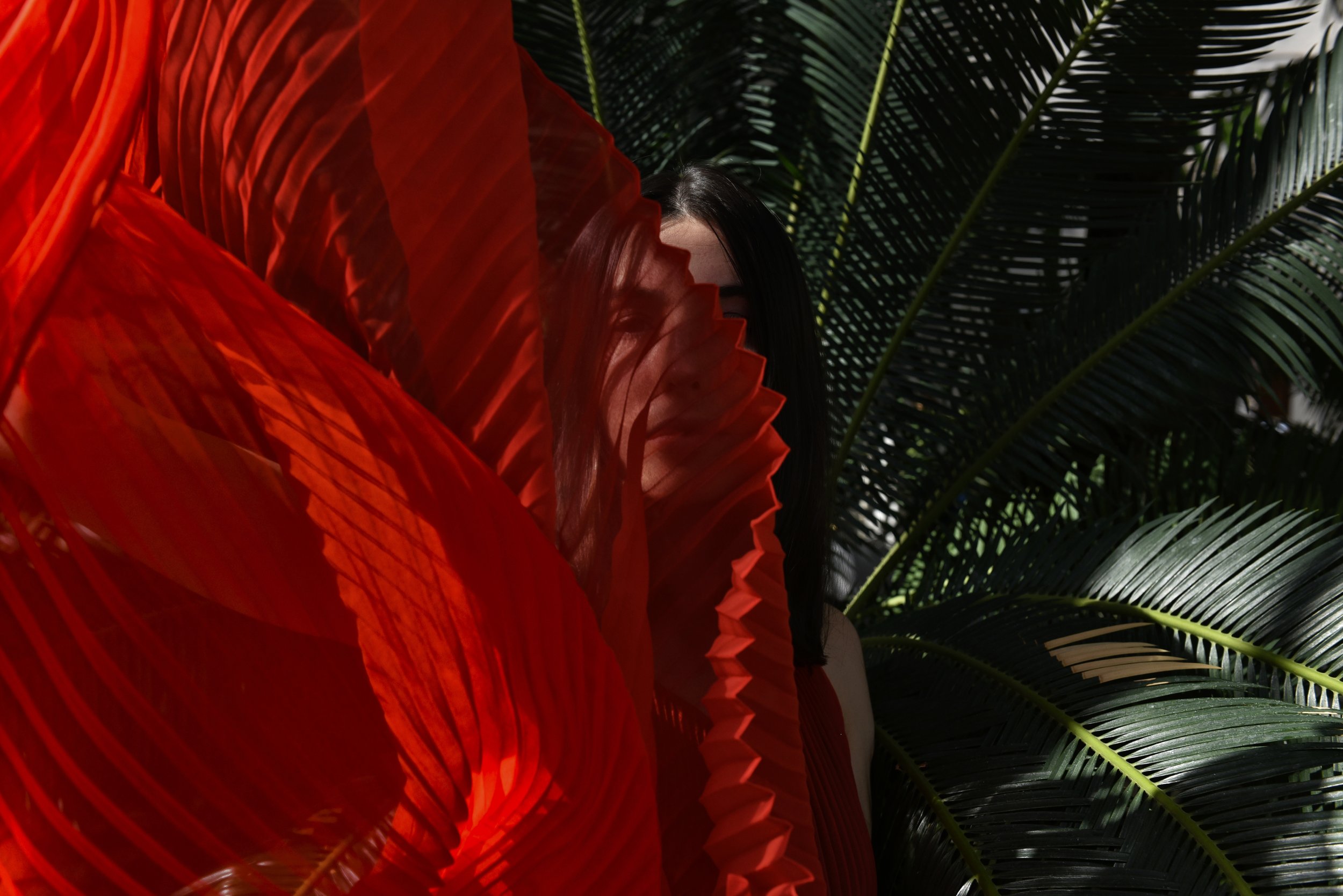 LINNEADALE COVER11.jpg