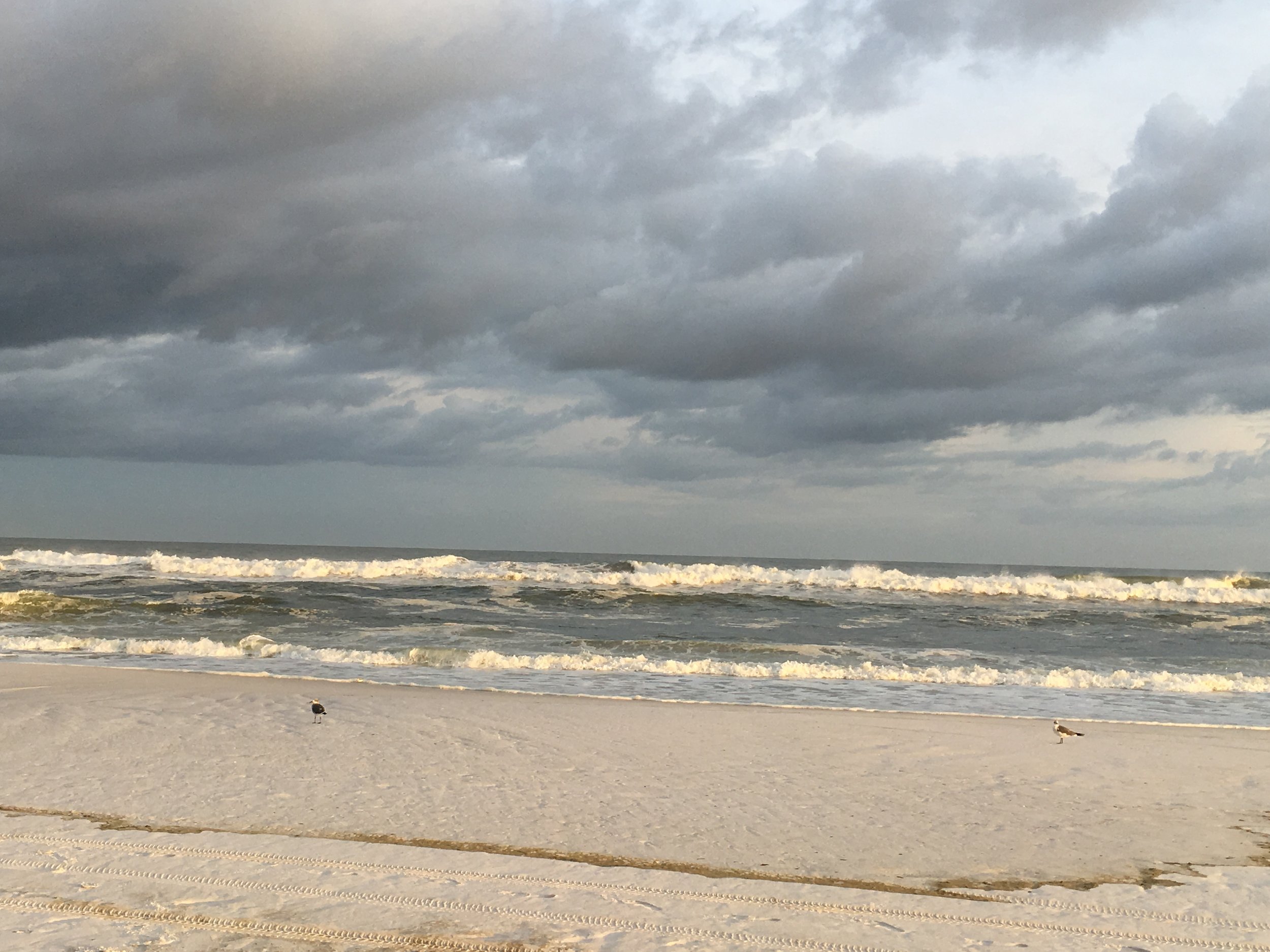 After a summer storm blew through...
