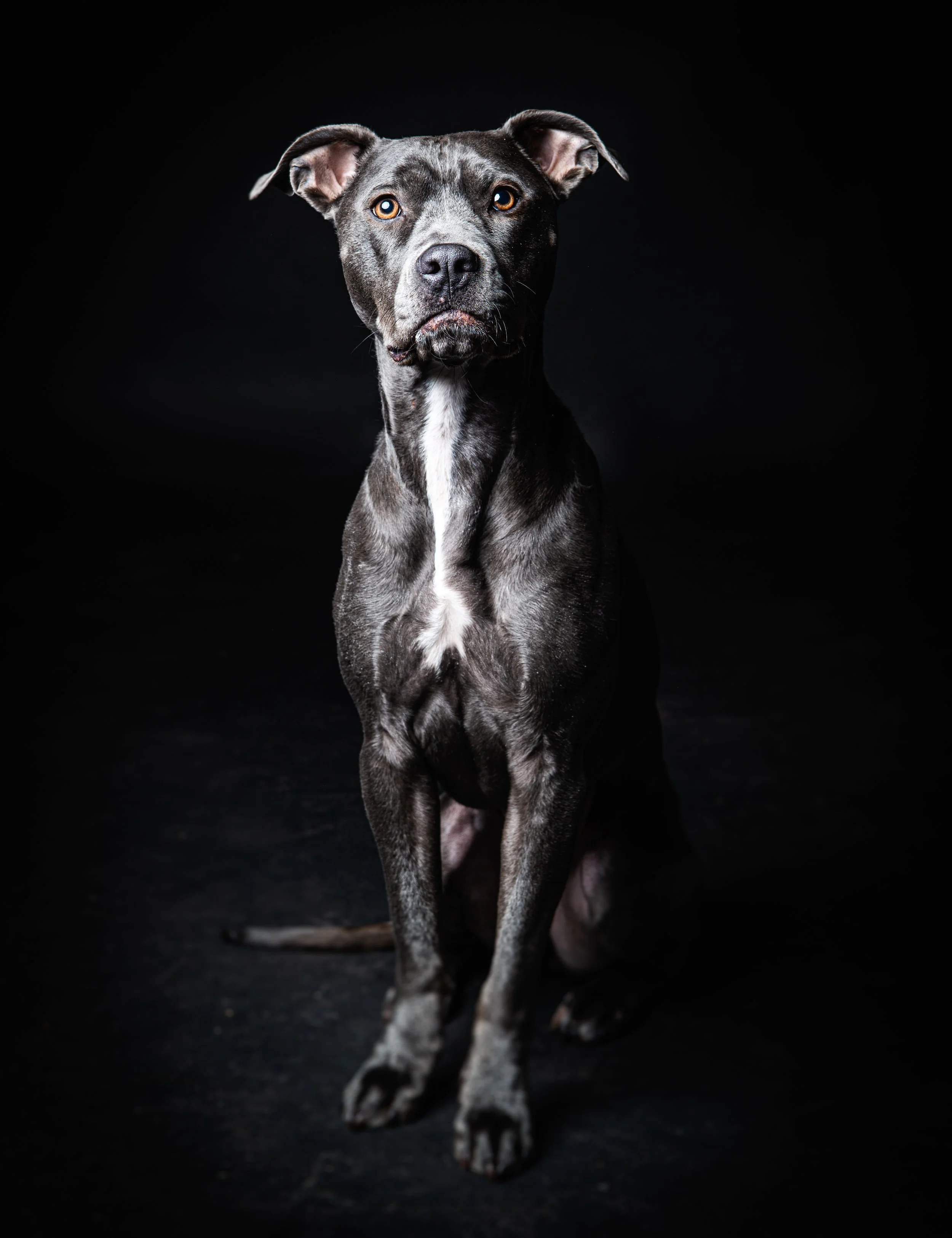 20230120-_DSC5037-Edit.jpg