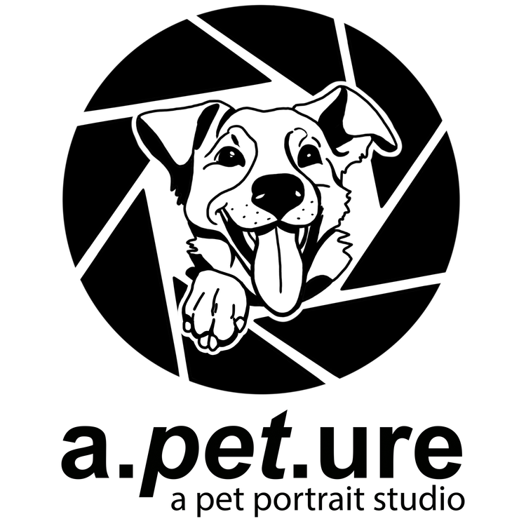 a.pet.ure