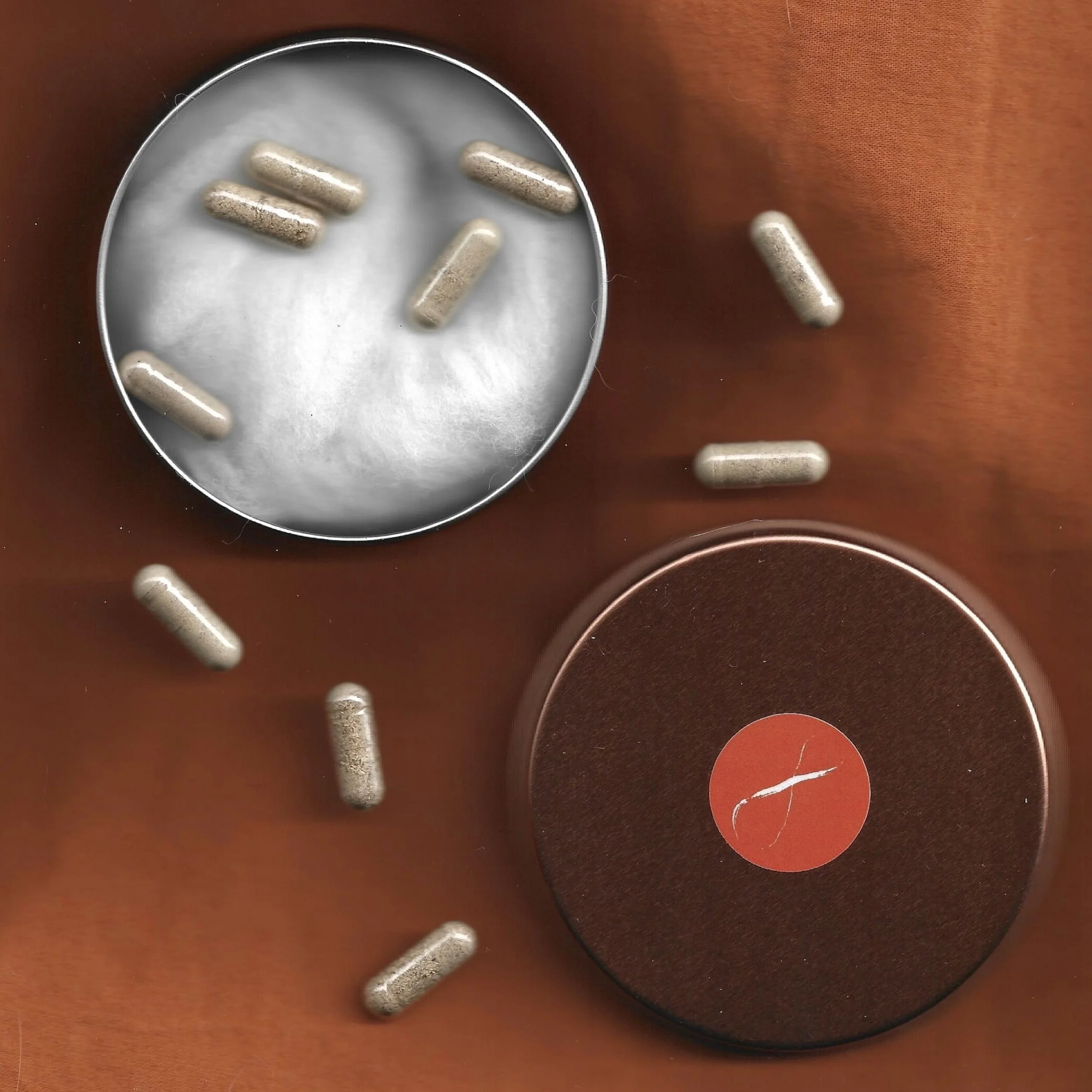 8 ANCIENT TEACHERS TEN MICRODOSES.jpg