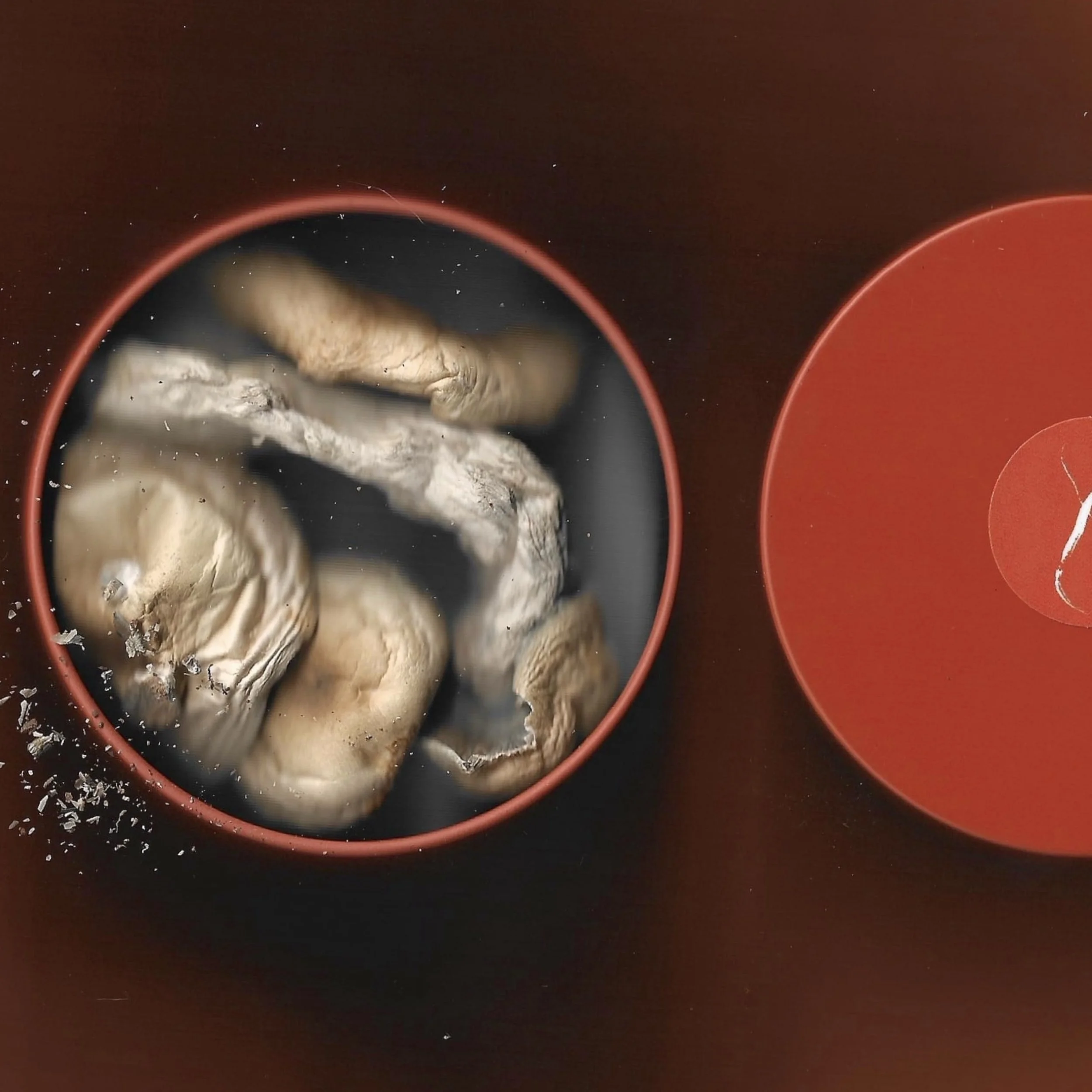 9 ANCIENT TEACHERS ONE EIGHT AND UP.jpg