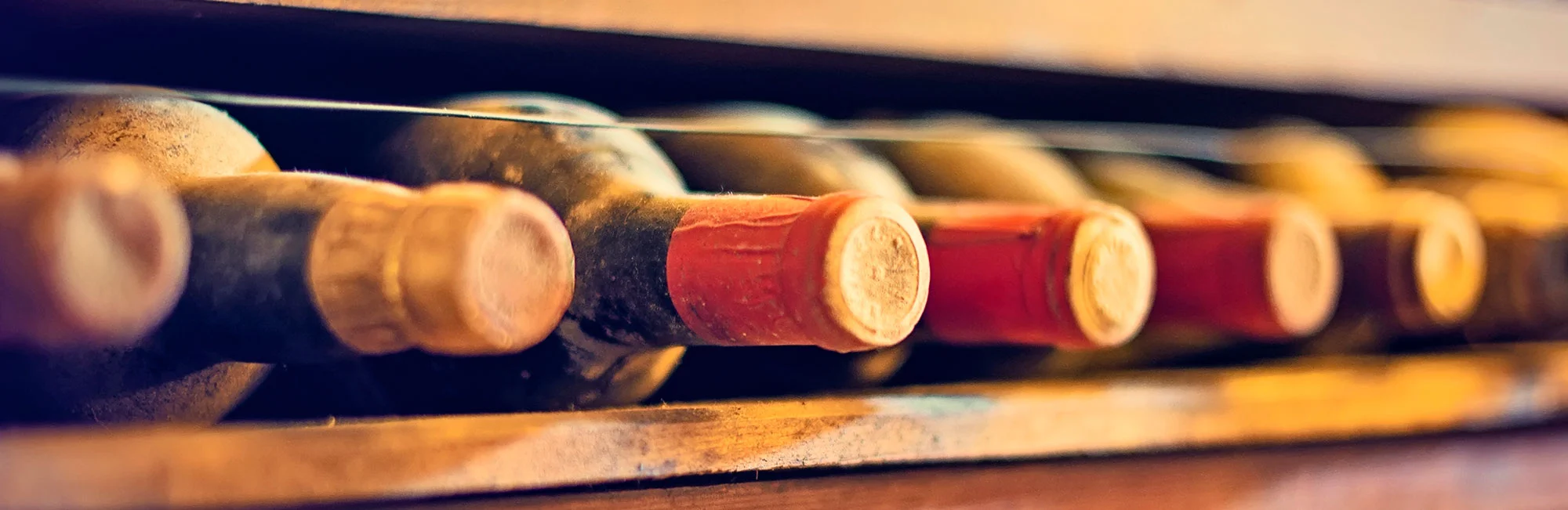 Photo Credit: Faanati Mame