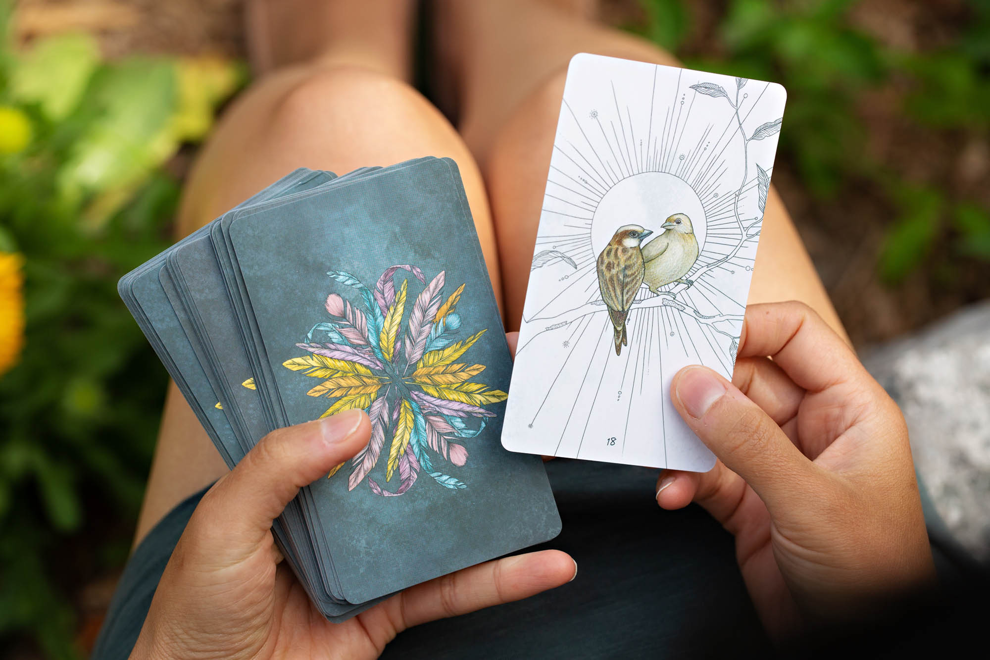 jbs-BirdsOracleDeck_03.jpg