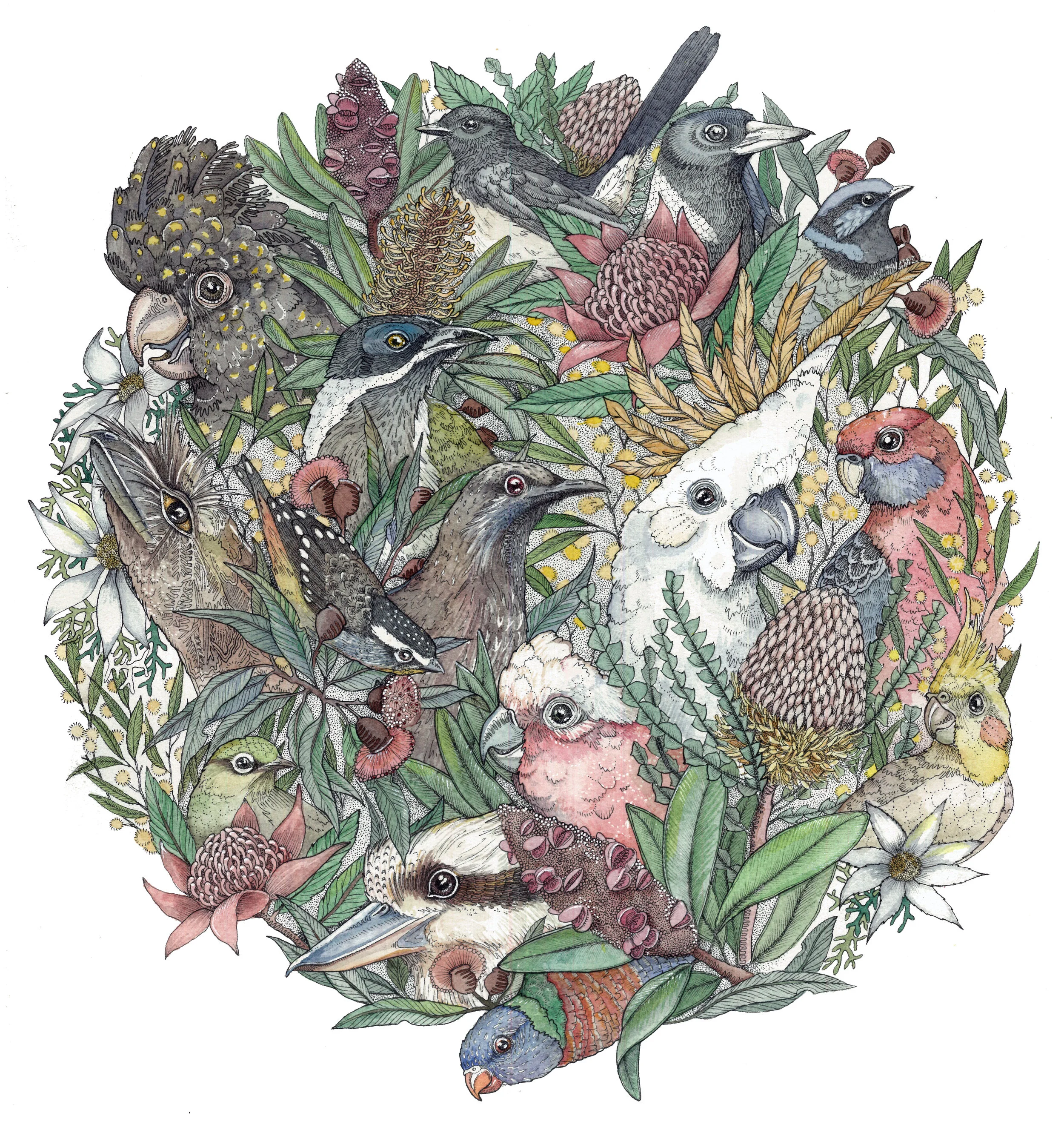 Bird Bouquet 2018 Ink and Watercolour on 100% Cotton Paper
