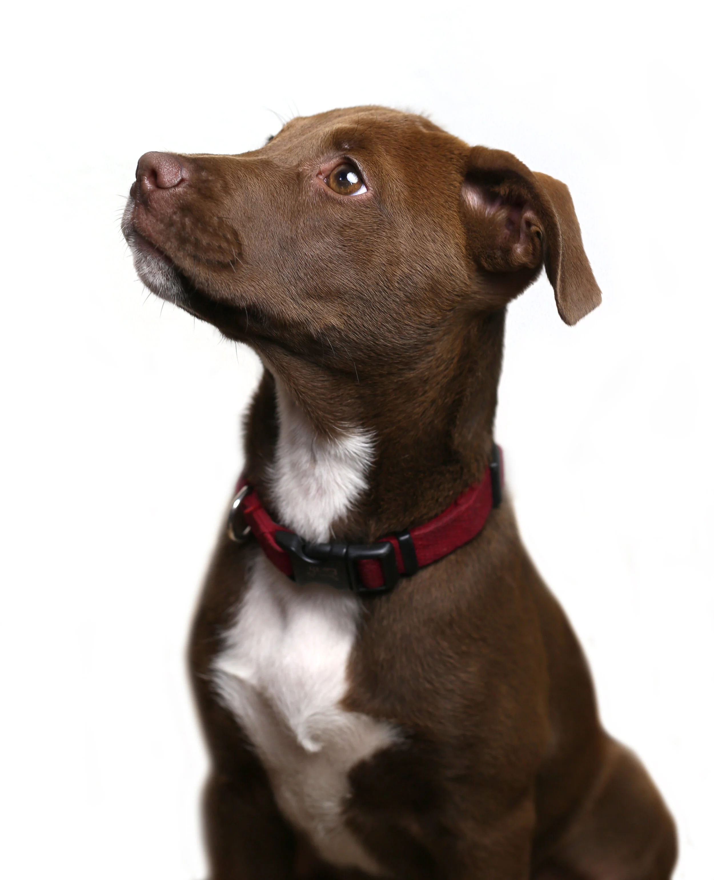 IMG_4687_edit.jpg