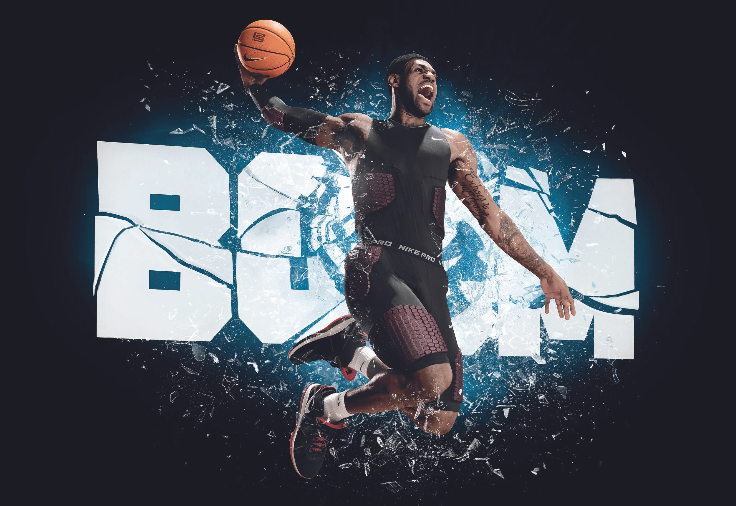 FaHo10_AT_LeBron_BoomTrain_0221.jpg