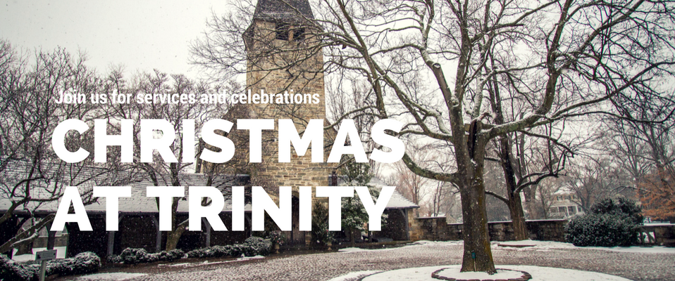 Trinity Homepage (15).png