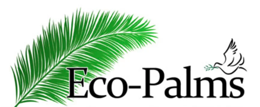 ecopalms.jpg