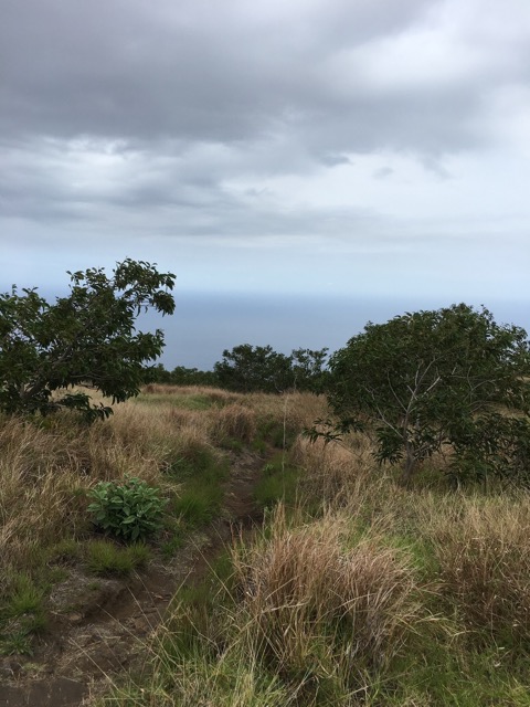 IMG_0098.jpeg